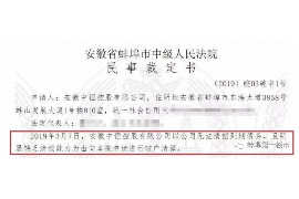 南召南召的要账公司在催收过程中的策略和技巧有哪些？