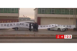 南召如何避免债务纠纷？专业追讨公司教您应对之策